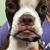 Carla Dunahee's profile image