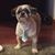 Pamela Blanford's profile image