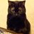 Mike Patterson's profile image