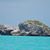 Arlette Richard's profile image