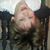 Judi Bridge's profile image