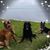 Cherie Lynn Darling's profile image