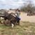 Lorrie A. Guerra's profile image