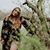 Jessica Rae Stetson's profile image