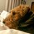 Emily Overbey Brandt's profile image