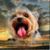 Lois Hadfield's profile image
