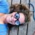 Lauren Dehlinger's profile image
