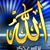 Marwa Ebrahim's profile image
