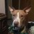 Katie Secor's profile image
