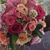 Amy Eimer's profile image