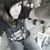 Amber Wilson's profile image