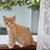 Beverly Helbig's profile image
