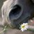 Luanne Clever's profile image