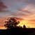 Duane Hebel's profile image