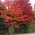 Amy Prough-Sieting's profile image