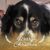 Dave Bowling's profile image