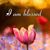 Sandy Crull-Deschand's profile image