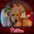 Kristen Brach Davidson's profile image