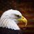 Bill Shepherd's profile image