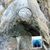 Tagea Vangsgaard's profile image