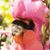 Lois Martin's profile image