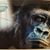 Juli Kline Matthews's profile image