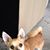Sue Hayman Calloway's profile image