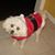 Tracy Gentry's profile image