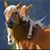 Rita M.'s profile image