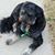 Pam Swanson's profile image