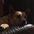 Dolores Dietrich Burgess's profile image
