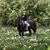 Samantha Anderson's profile image