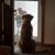 Tammy Richardson Taddei's profile image