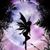 Vicki Voecks's profile image