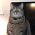 Maryann Huber Allen's profile image