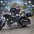 Cherlyn J. Haley's profile image