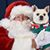 Allison Marie's profile image