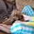 Earl C. Cruse's profile image