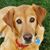 Sue Kuehn's profile image