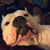 Nancy Kammer's profile image