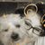 Ann Marie Rentz Kalie's profile image