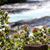 Donna Kingsbury's profile image