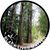 Ed Harra's profile image