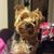 Shannon Cooney's profile image