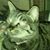 Darwyn Myers's profile image