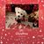 Cindy Klingler Stuart's profile image