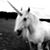 Paulie Jones Barsdis's profile image
