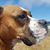 Franny Lopacinski's profile image