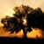 Denise Hrabb's profile image
