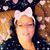 Julie Loomis's profile image